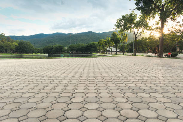 Best Residential Driveway Paver Services  in Wyboo, SC