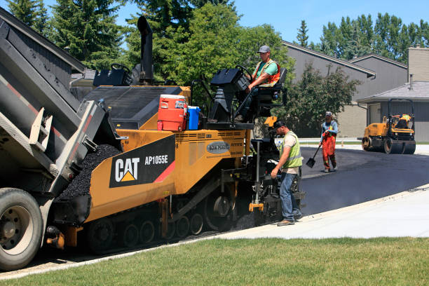 Best Driveway Paving Contractor  in Wyboo, SC